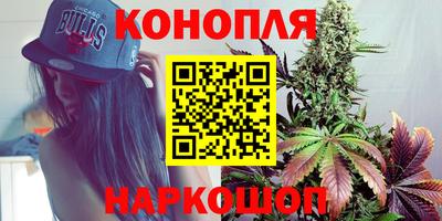 mdpv Ачхой-Мартан