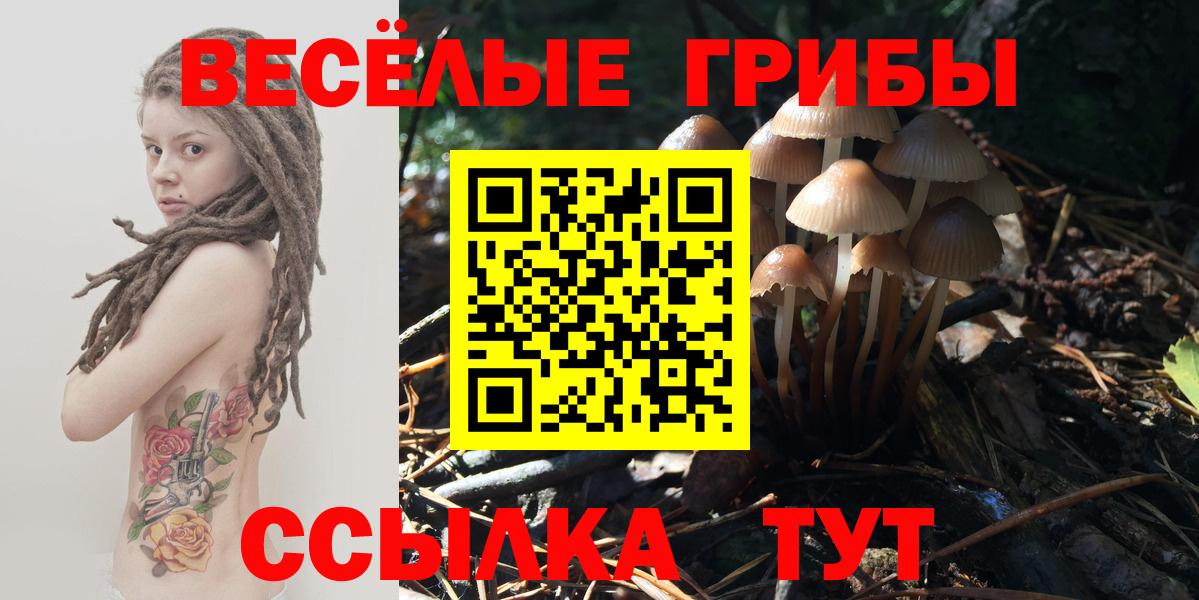 Псилоцибиновые грибы мухоморы Губкин