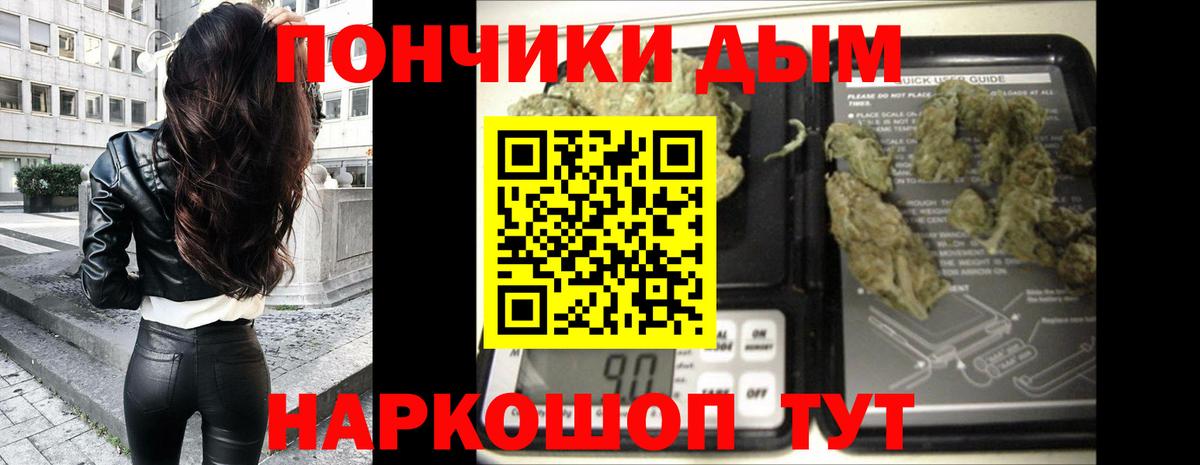 Бошки марихуана ГИДРОПОН  Бошки марихуана индика  Вход с VPN  Марихуана тримм  Конопля SATIVA & INDICA  Губкин 
